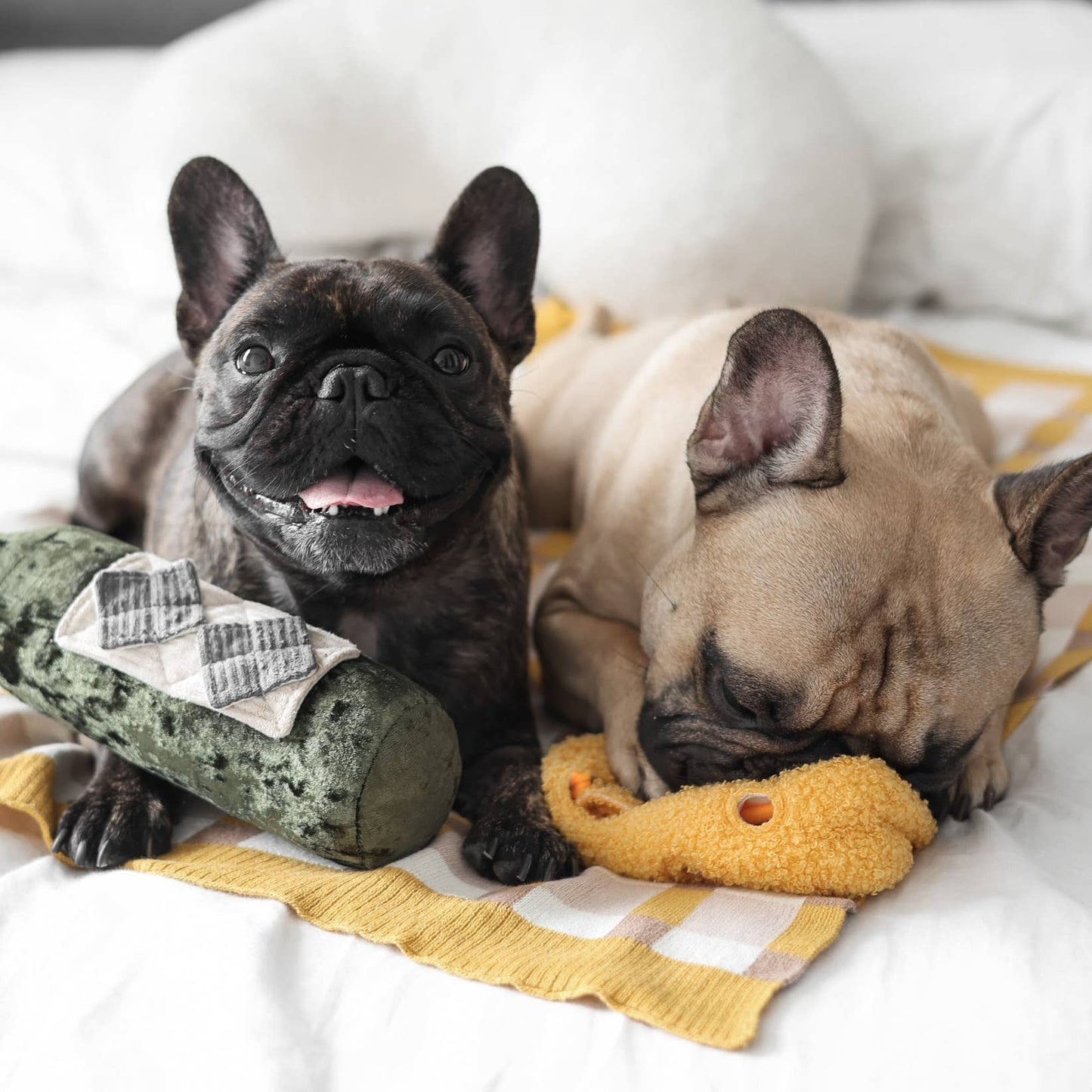 LAMBWOLF COLLECTIVE - MERLOT – Beschäftigungsspielzeug für Hunde