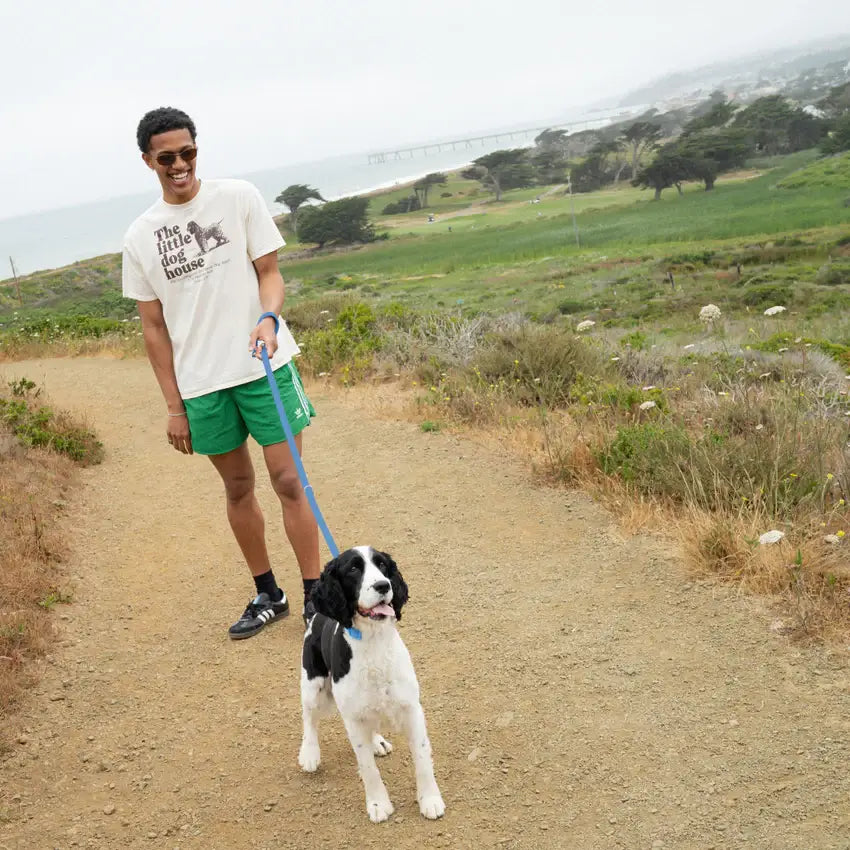 Springland Pets - Premium wasserdichte 1,5 m Hundeleine mit gepolstertem Griff (4er-Pack) - OSSO BLU