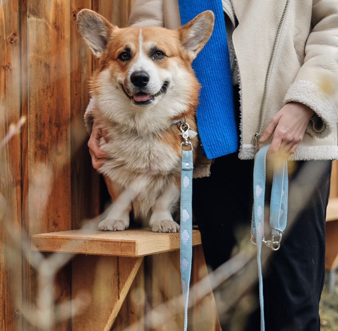 FUSSI DOGS - Hundeleine Cloud Sky Blue