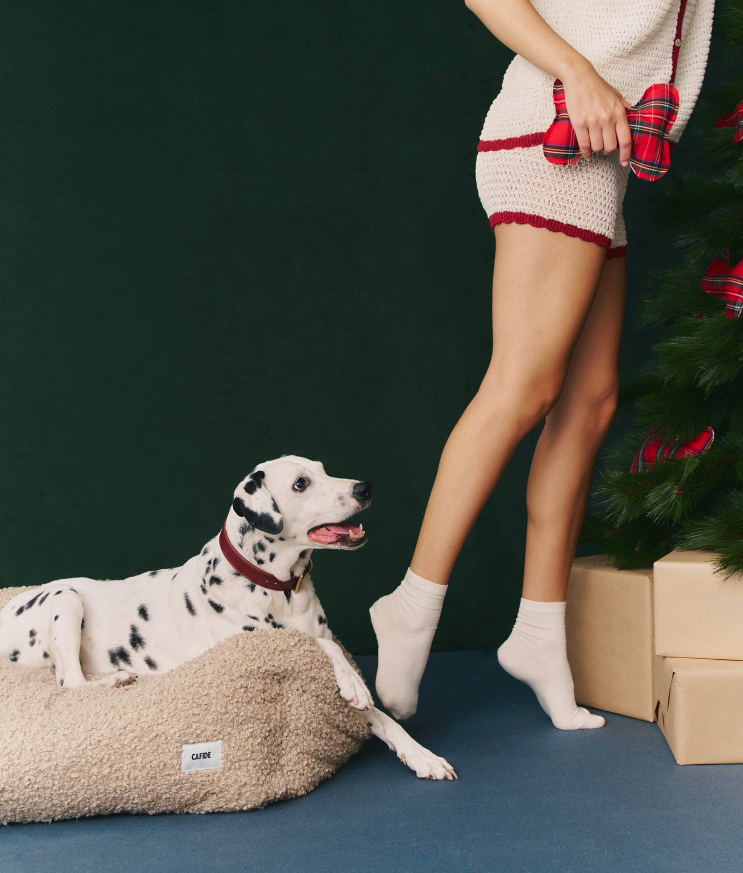 CAFIDE - Hundespielzeug „Royal Stewart Tartan“ – Spielen