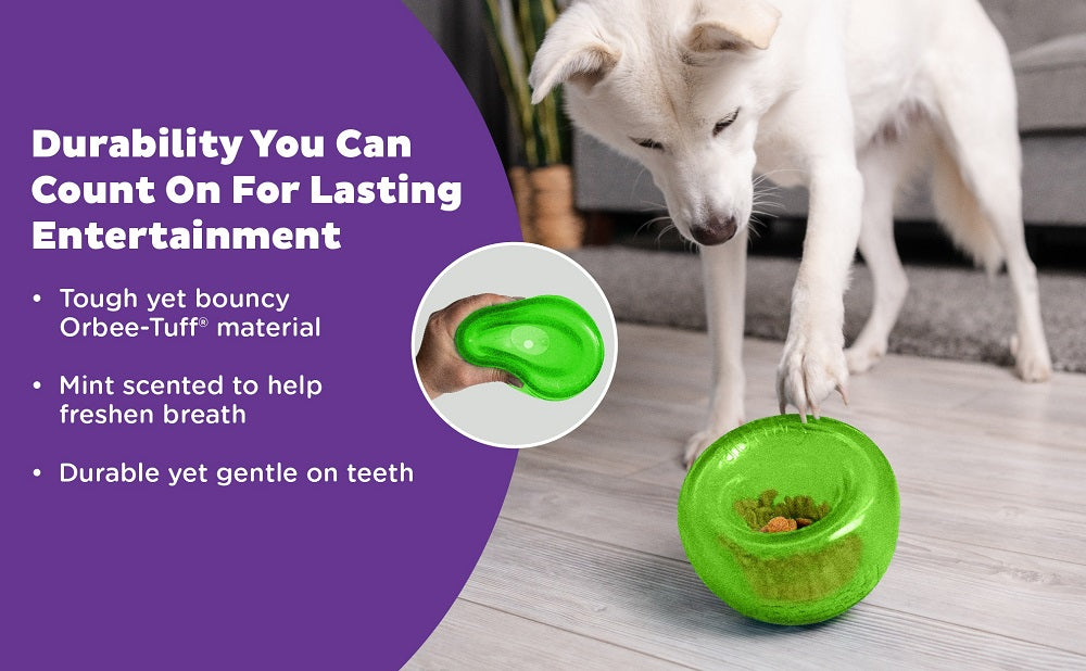 PLANET DOG - Snoop – Interaktives Spielzeug (Grün, 12,5 cm)