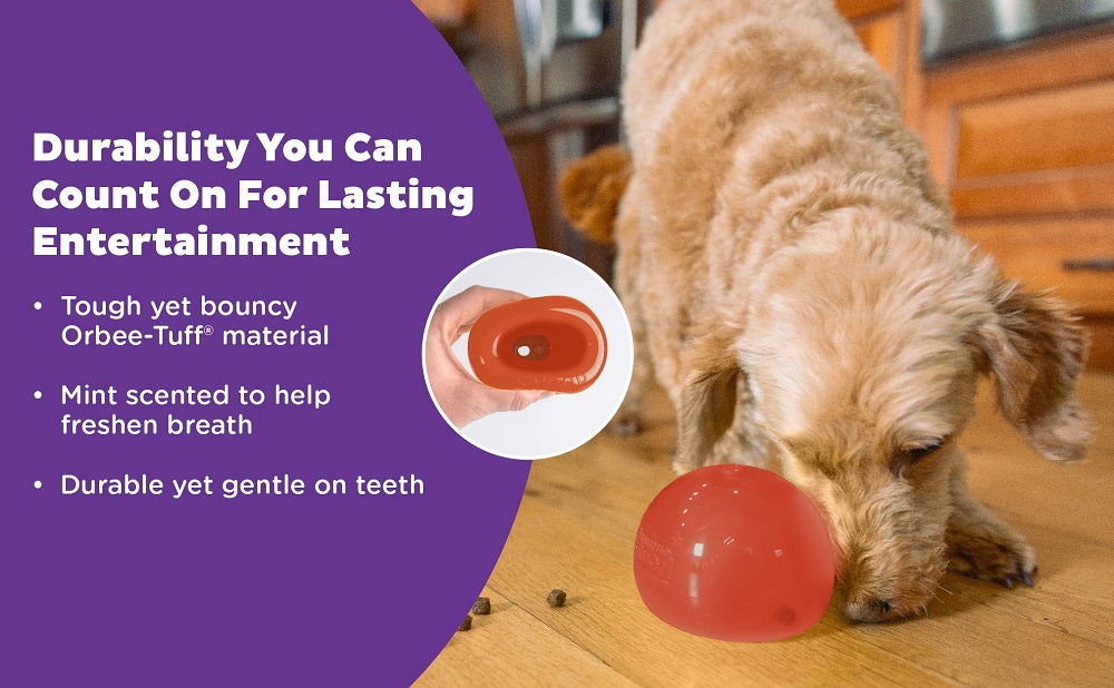 PLANET DOG - Lil' Snoop – Interaktives Spielzeug (Rot, 10 cm)