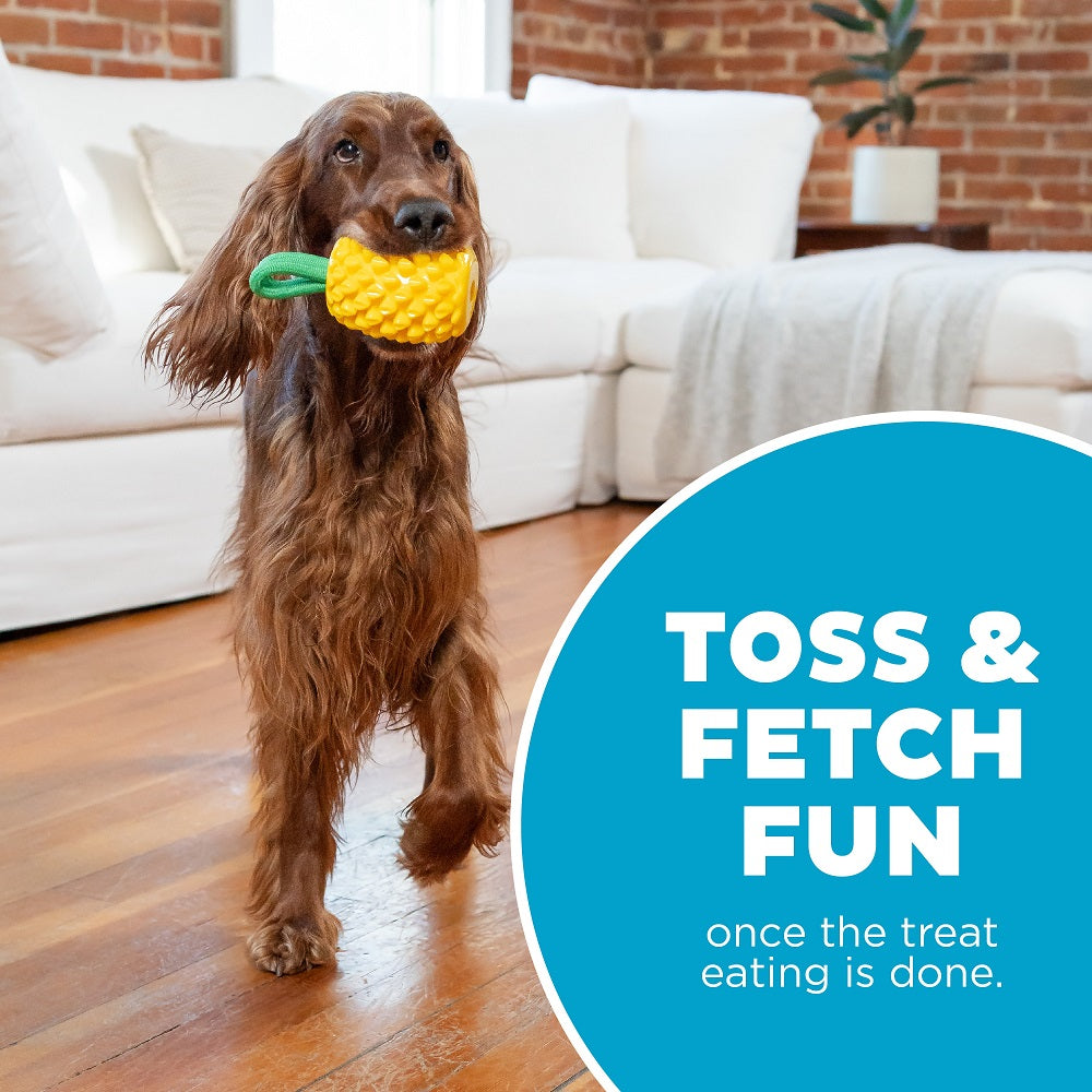 PLANET DOG - Dental Ananas - Beschäftigungs- & Dentalspielzeug für Hunde