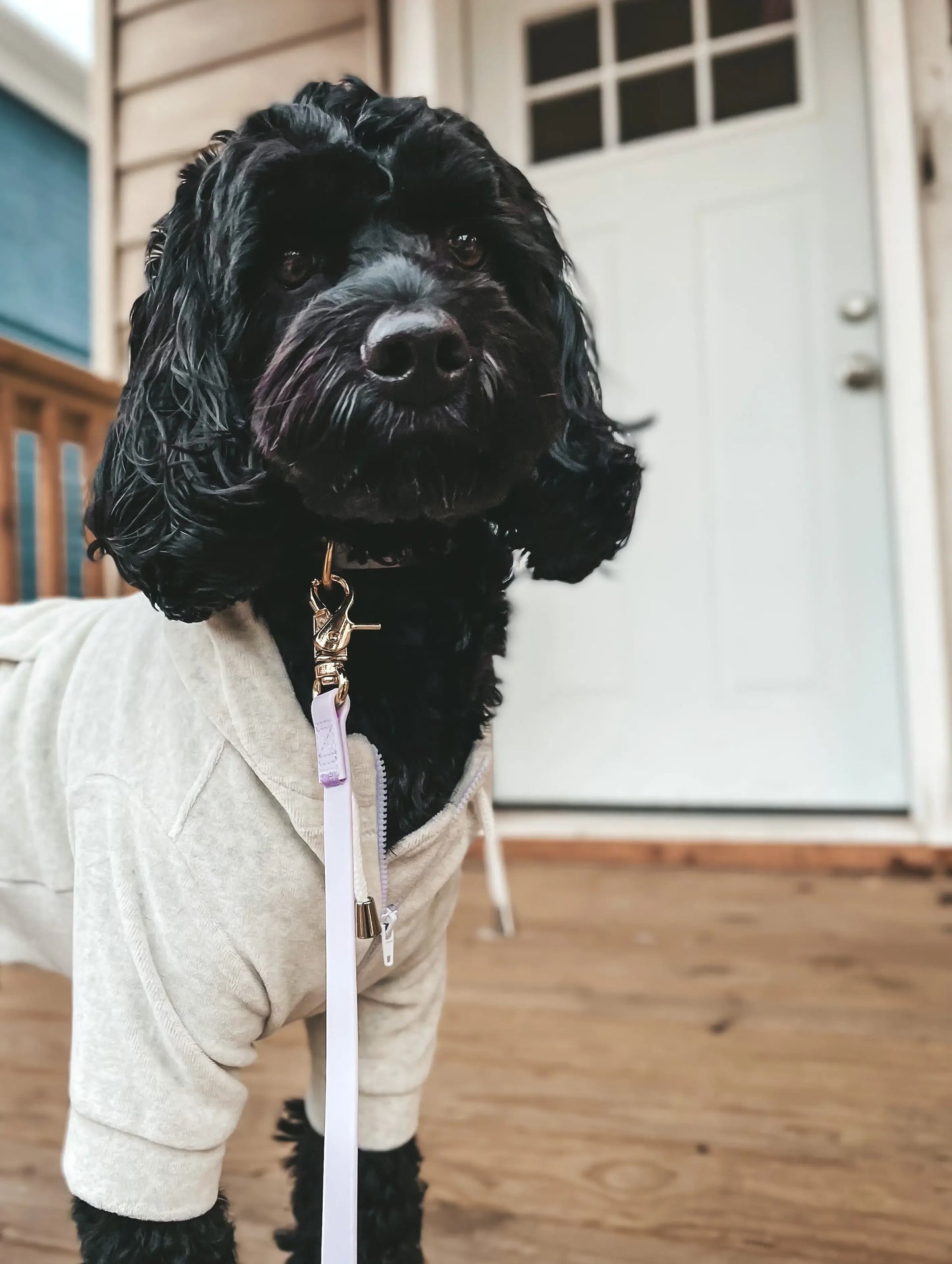 SUNNY TAILS - Wasserdichte Hundeleine - Lavender Haze