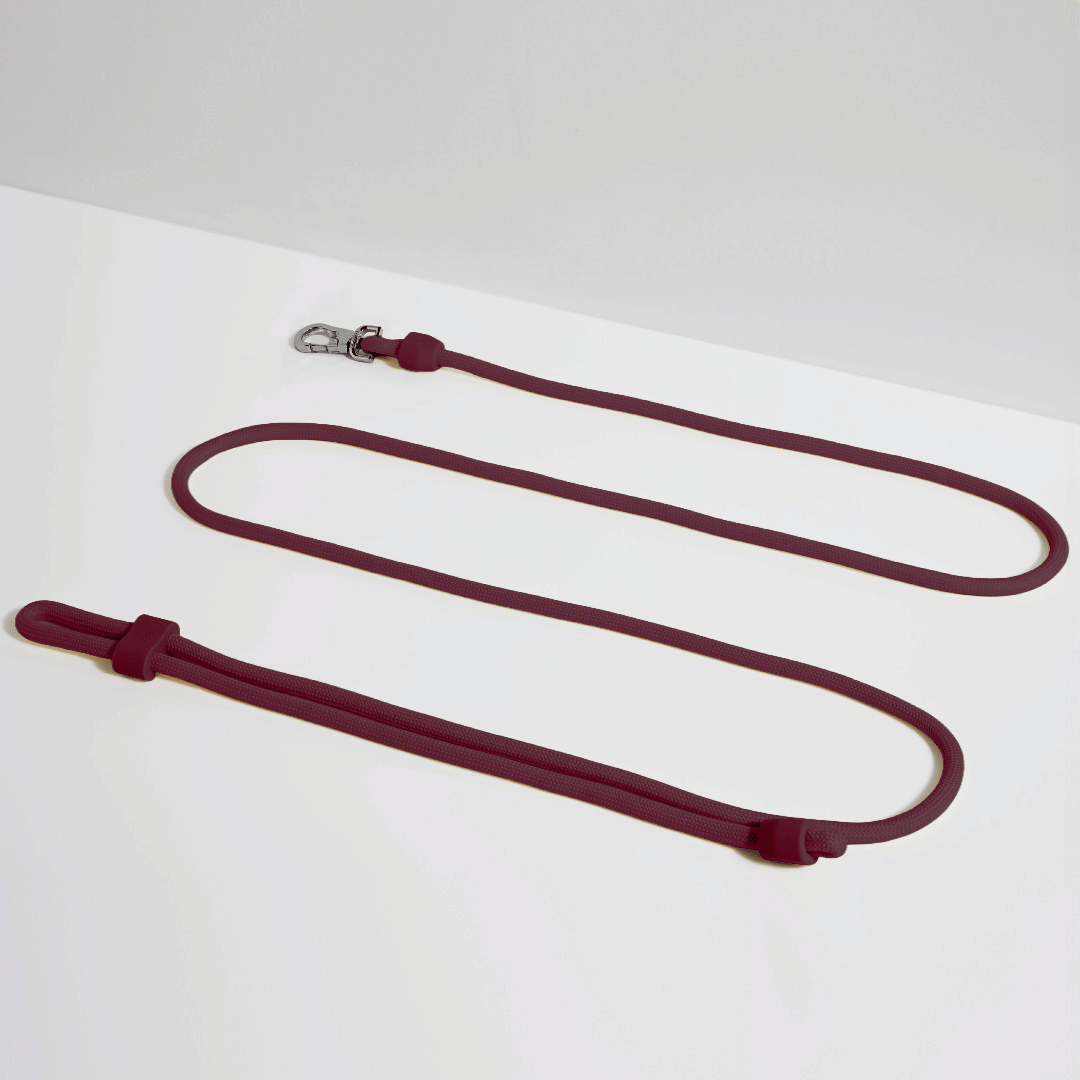 ST ARGO - 3-in-1 Hands-Free Leine in Burgunderrot