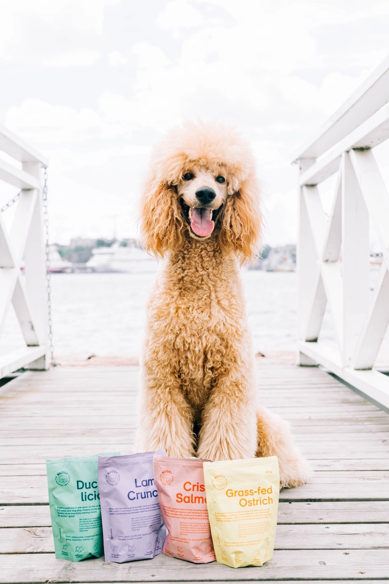 BUDDY - Crunchy Hundesnack – Lamm & Preiselbeeren (150g)