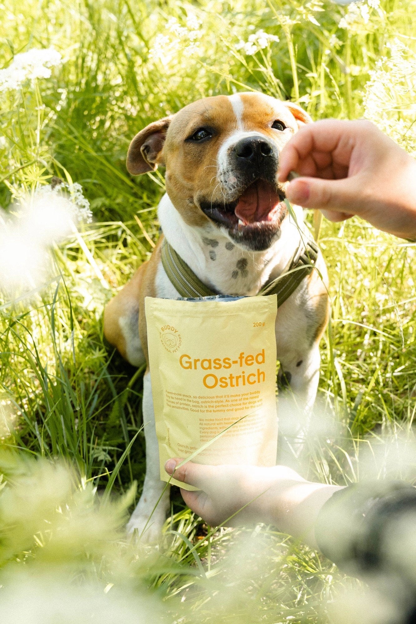 BUDDY - Semi-Moist Hundesnack – Strauß & Brombeeren (200g)