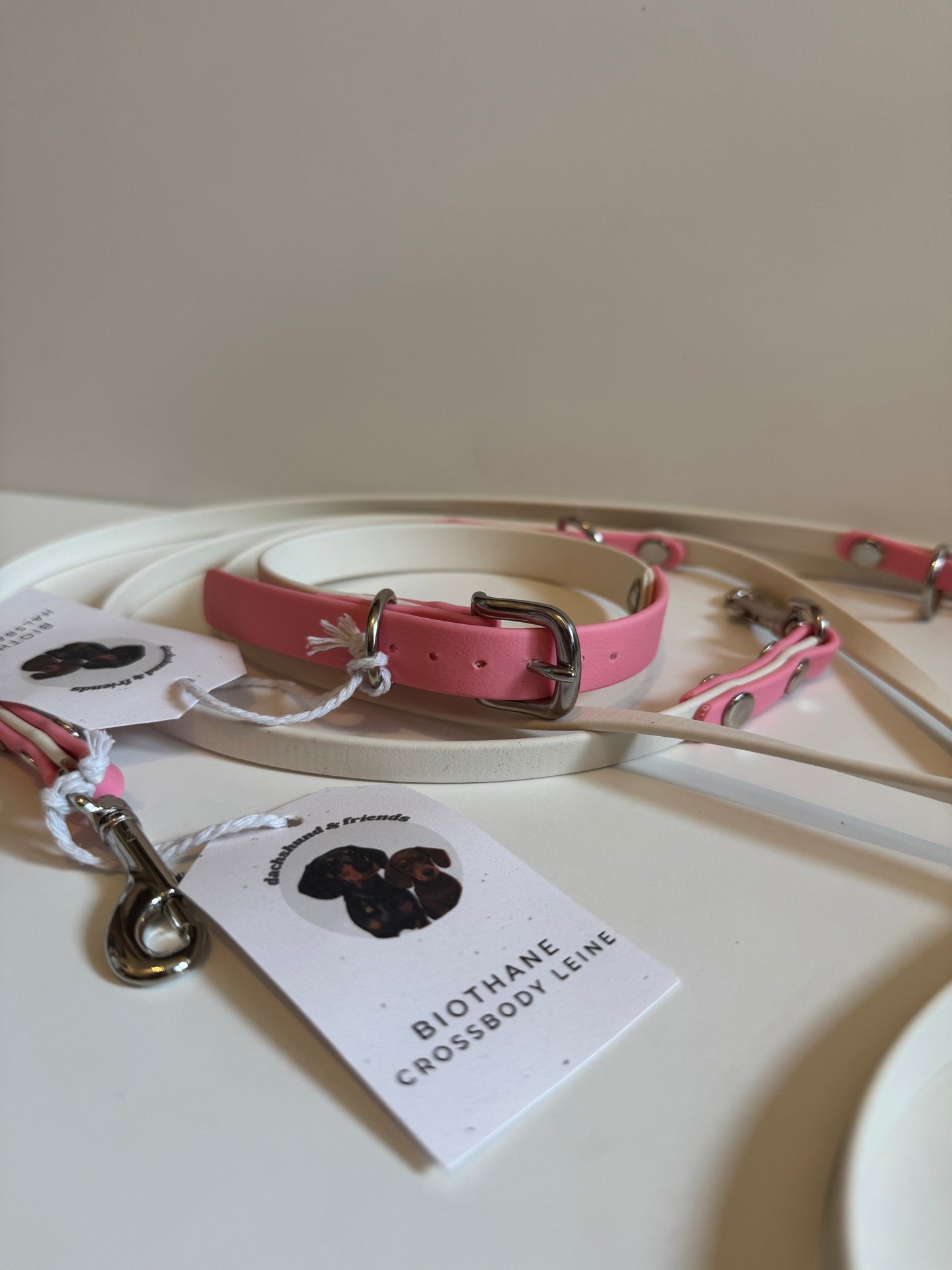 DACHSHUND & FRIENDS – BioThane® Halsband (Creme/Rosa – 16 mm)