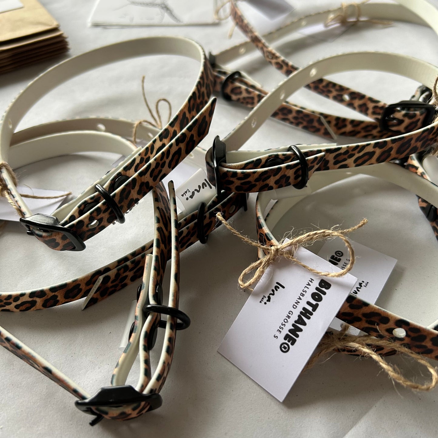 LUNA.LIEBE - Aqua BioThane® Halsband in Leo (13 mm)