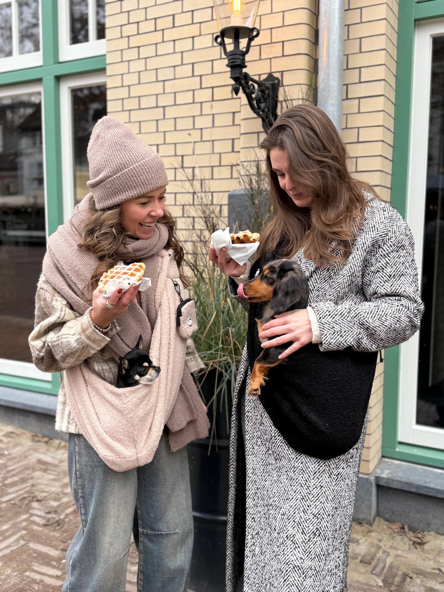 THE DOG LABEL - TDL-2 Teddy Bag – Creme