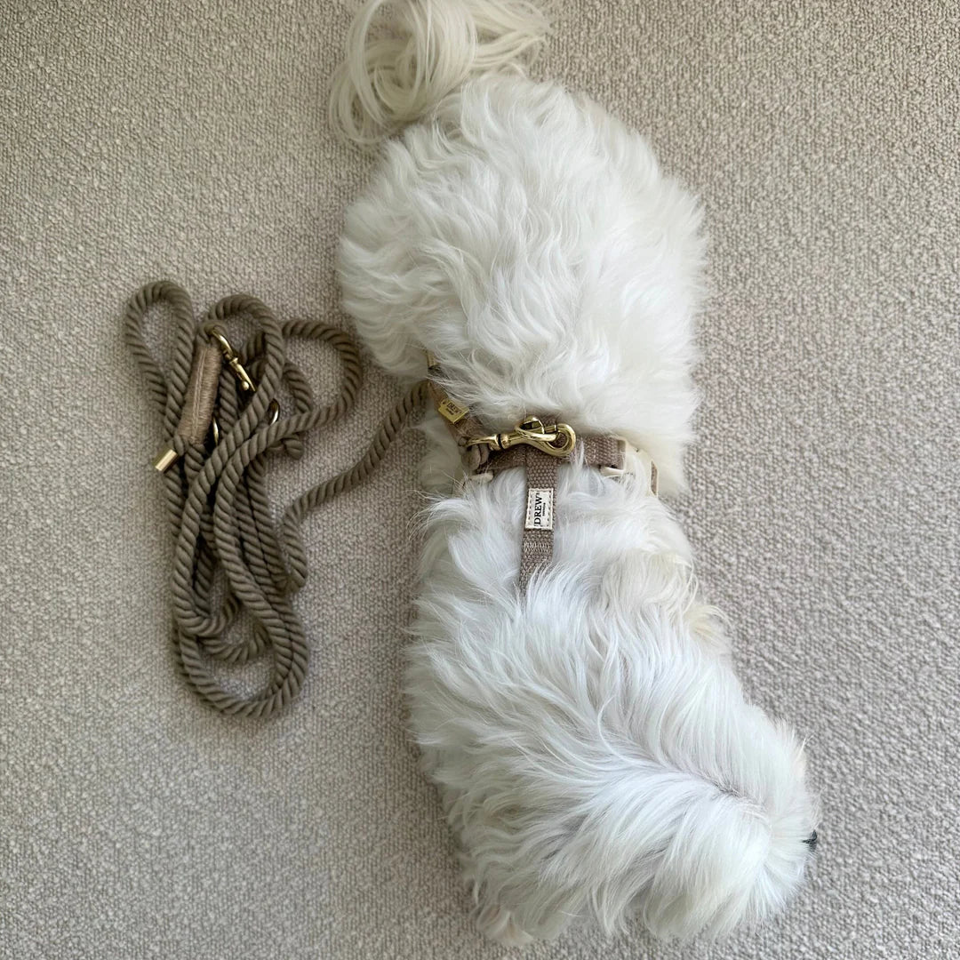 DREW'S DOGWEAR - KHAKI / Verstellbare und weiche Hundeleine - OSSO BLU