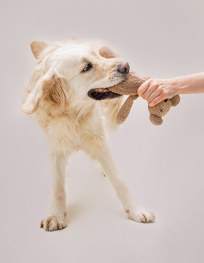 LILLABEL - Plüschspielzeug für Hunde – Teddybär BERTY