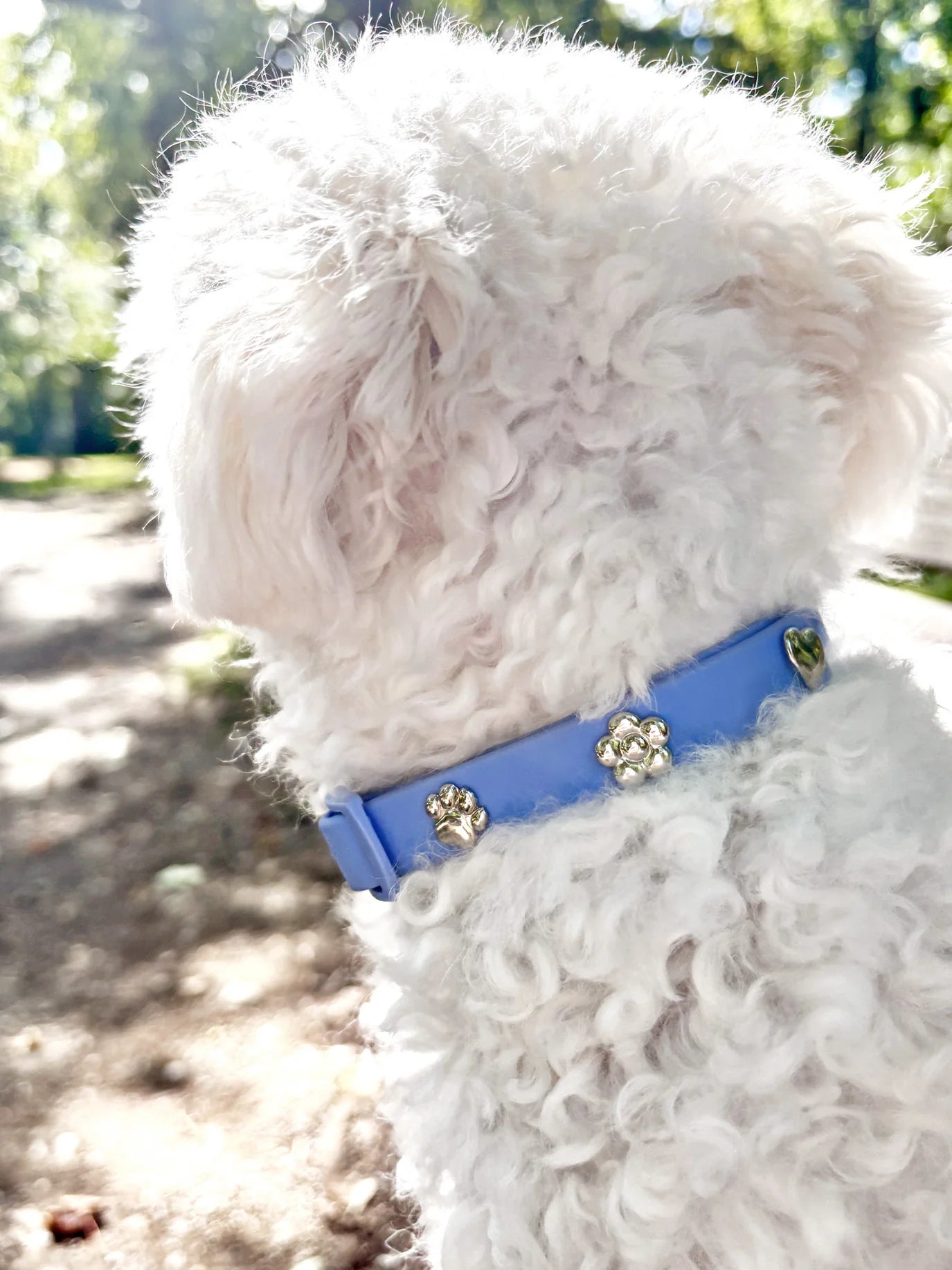 PAWPOPZ – Charm „Pfote Silber“