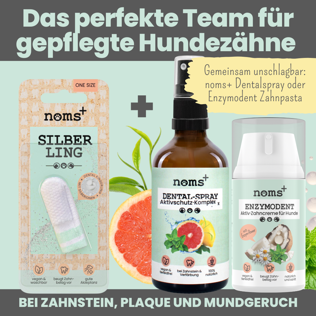 NOMS+ - Silberling: Antibakterieller Zahn-Fingerling für Hunde mit Silberionen