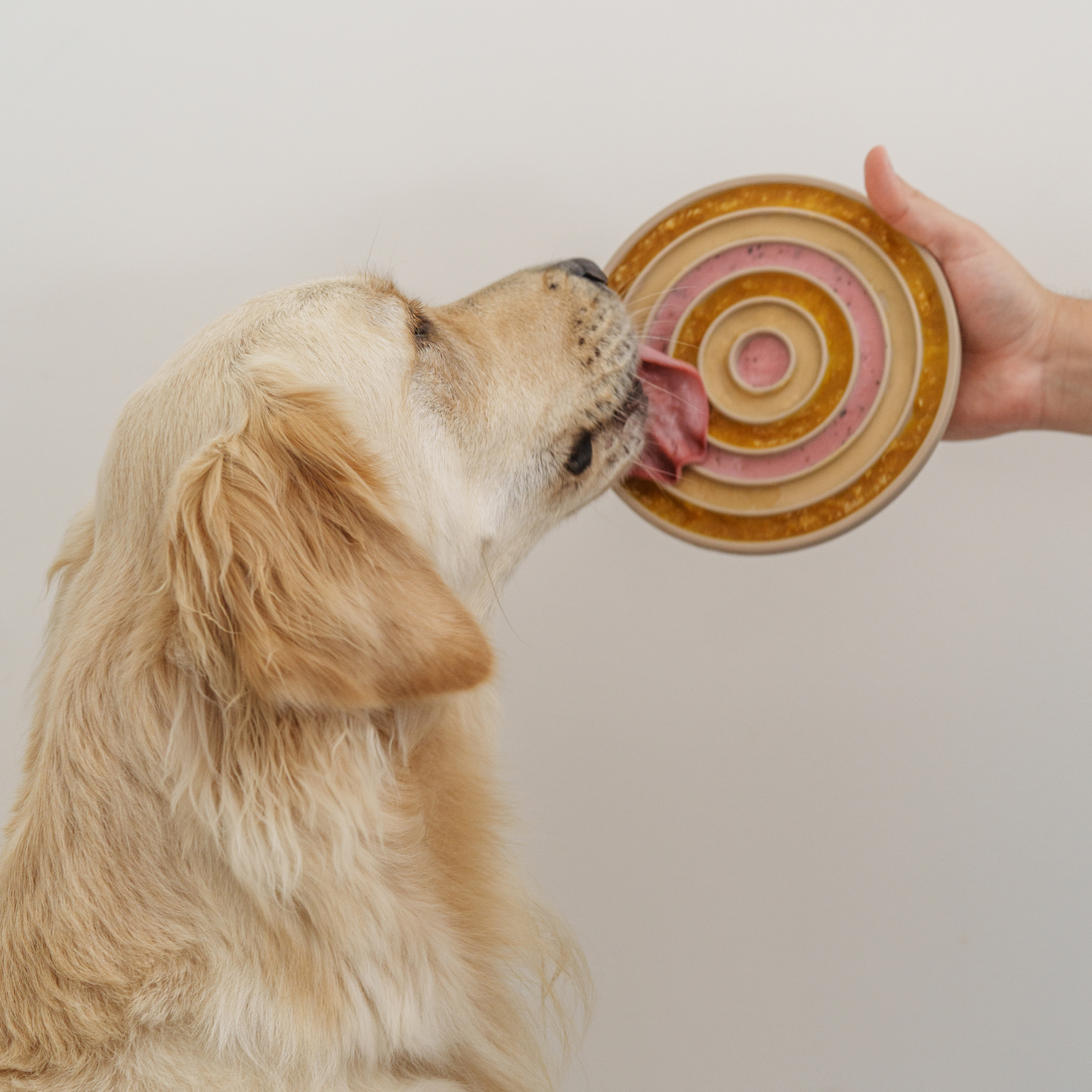 LAMBWOLF COLLECTIVE - 3-in-1-Leckmatte & Slowfeeder BENTO - OSSO BLU