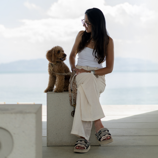Hinter den Kulissen von OSSO BLU – Warum ich diesen Hundeshop gegründet habe