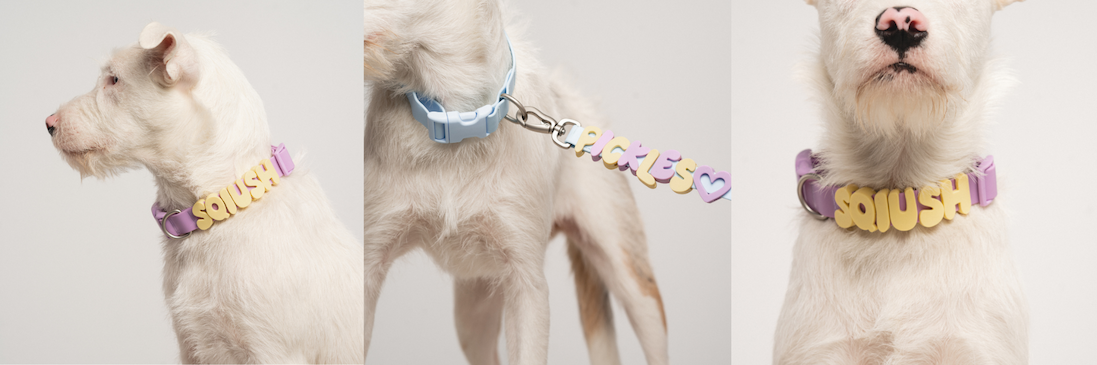 Ein Look, so individuell wie dein Hund.