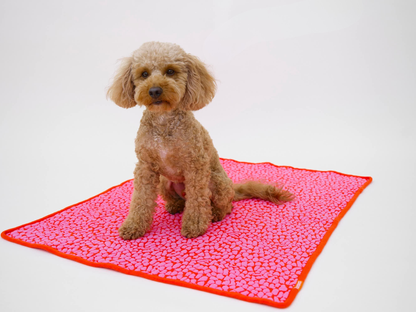 LUMIIES - THE STUDIO BLANKET – Ultraweiche Hundedecke | Pink Lava - OSSO BLU