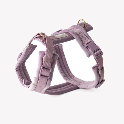 FURLOU – Samt Hundegeschirr Lilac