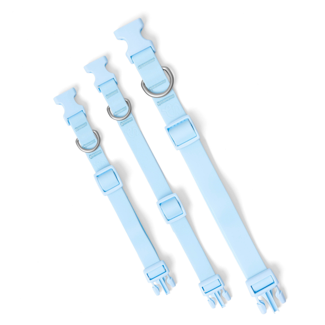 Springland Pets - Wasserdichtes & Verstellbares Hundehalsband (6er Pack) - OSSO BLU