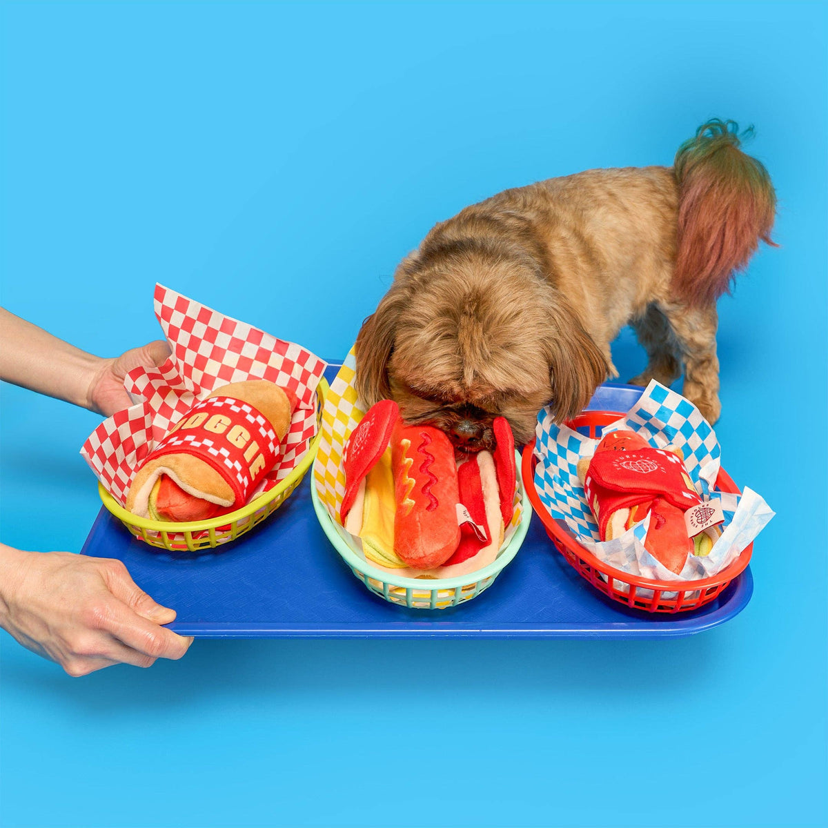 the furryfolks - Hot Doggie Nosework-Spielzeug - OSSO BLU