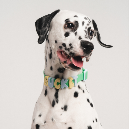 Springland Pets - Silikon-Hundecharm-Anhänger für Hundehalsband/Leine/Flasche (63 Anhänger) - OSSO BLU