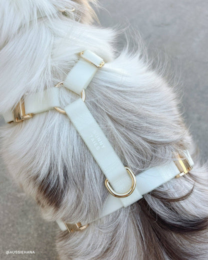 SUNNY TAILS - Cloud Lite Hundegeschirr - Glow in the Dark