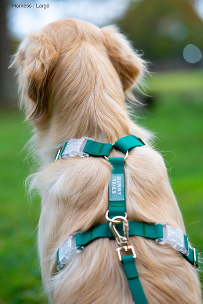 SUNNY TAILS - Meadow Green Cloud Lite Dog Harness - OSSO BLU