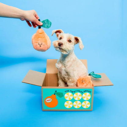the furryfolks - Orange Nosework-Spielzeug für Hunde - OSSO BLU