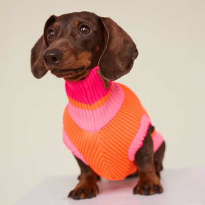 LUMIIES – Glow Jumper 2.0 Hundepullover Sunny Tangerine