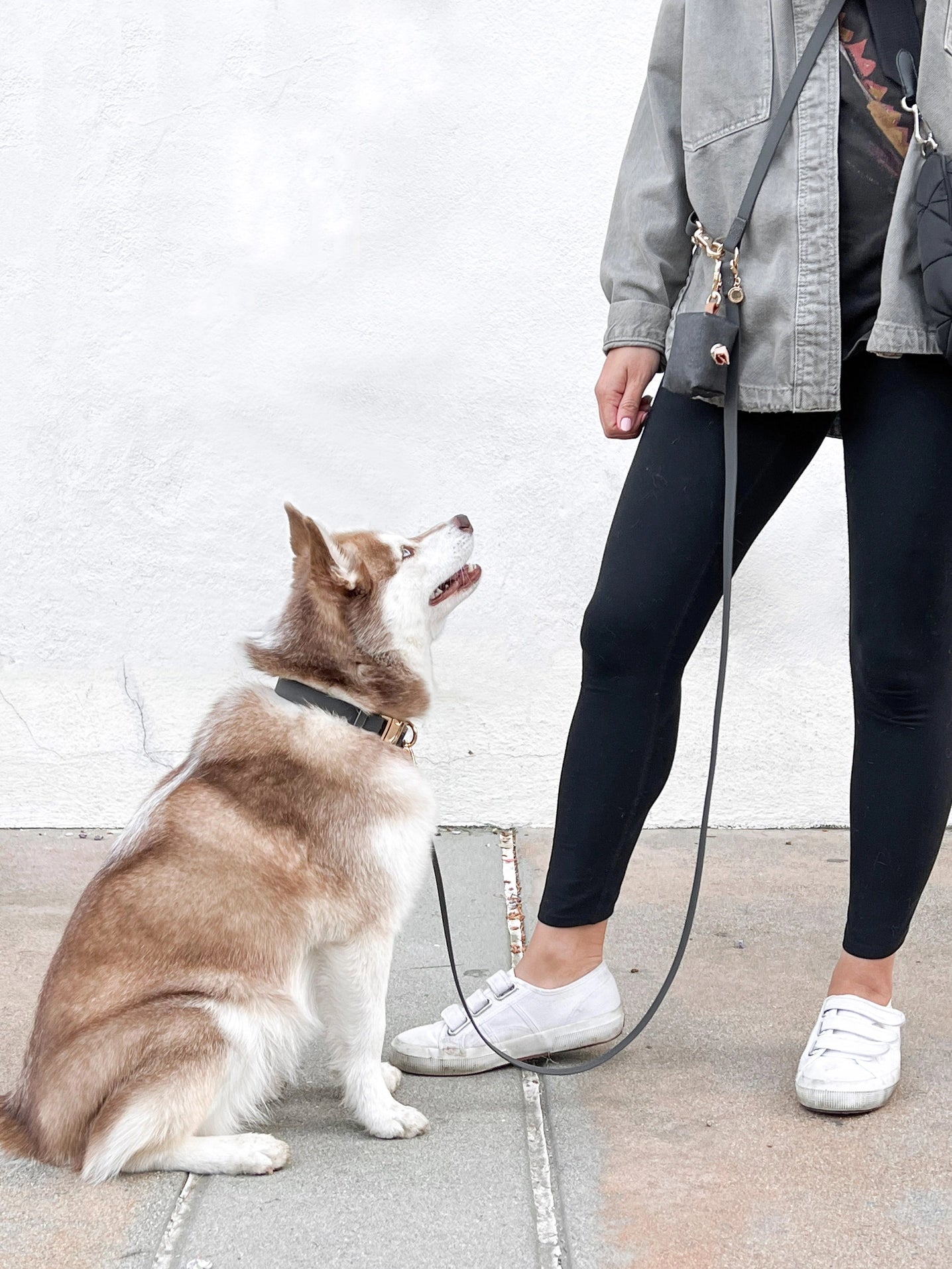 SUNNY TAILS - Wasserdichtes Hundehalsband - Ember Black - OSSO BLU