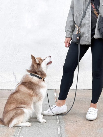 SUNNY TAILS - Wasserdichtes Hundehalsband - Ember Black - OSSO BLU