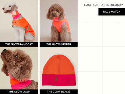 LUMIIES – Glow Loop 2.0 Hundeschal Sunny Tangerine