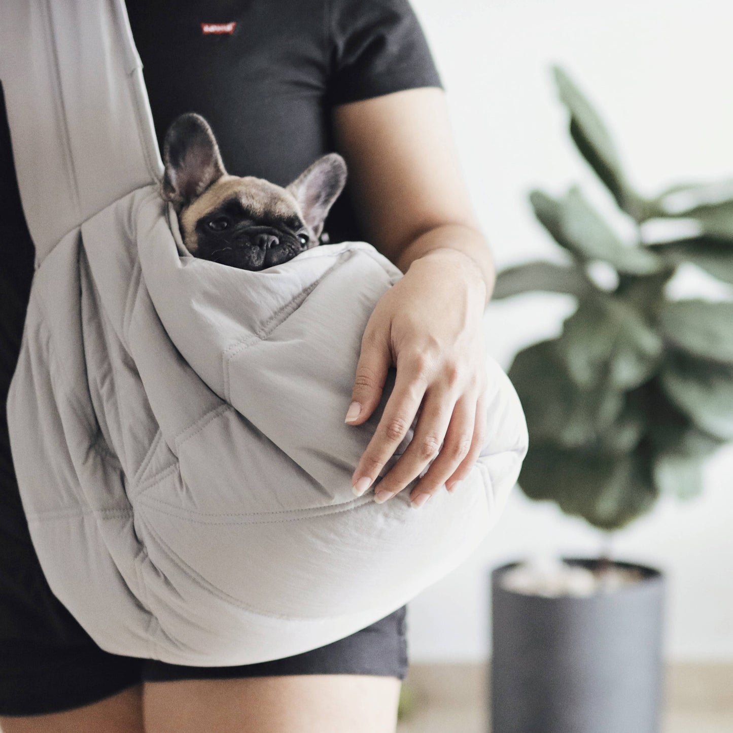 LAMBWOLF COLLECTIVE - OLLA Tragetasche für Hunde - Koala - OSSO BLU