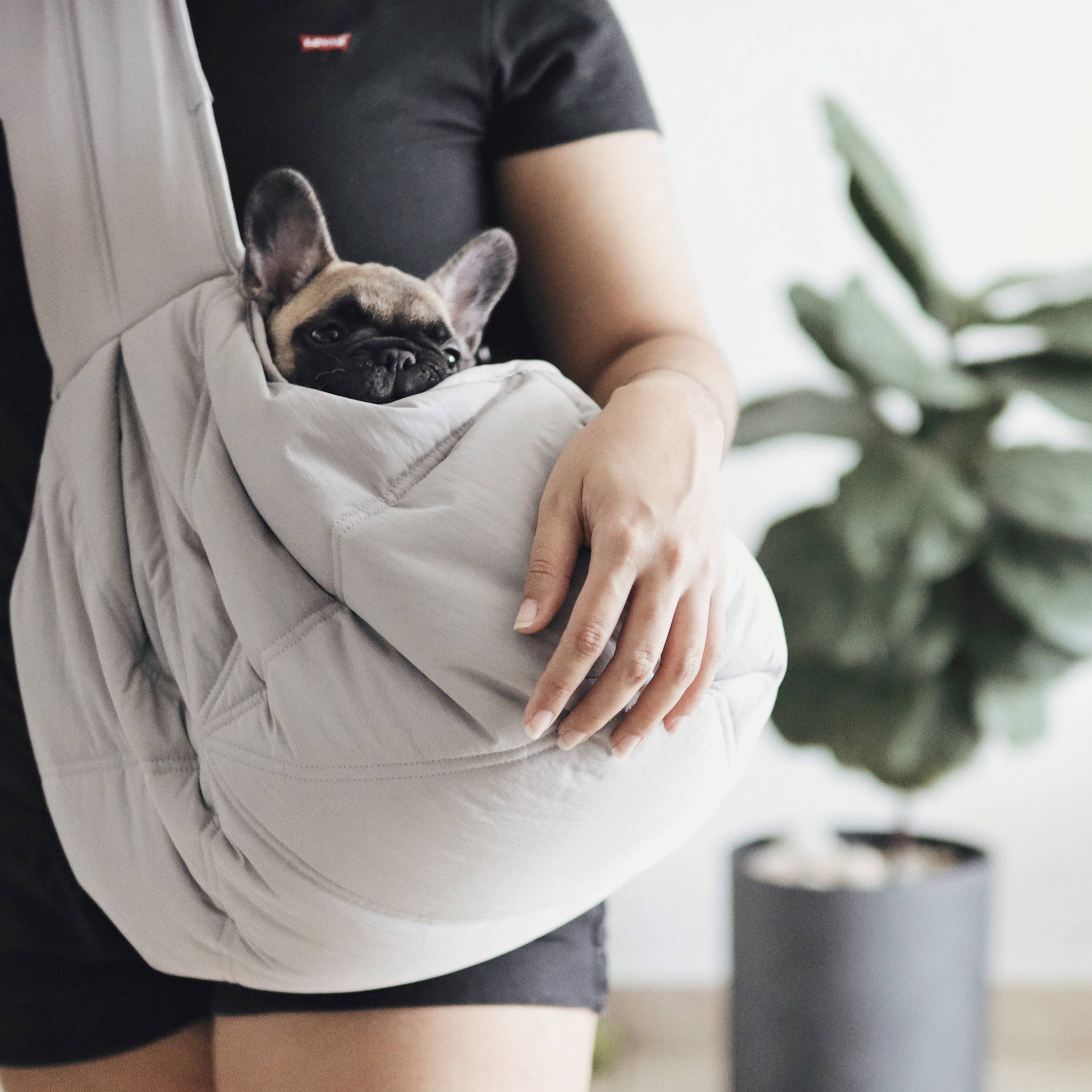 LAMBWOLF COLLECTIVE - OLLA Tragetasche für Hunde - Koala - OSSO BLU
