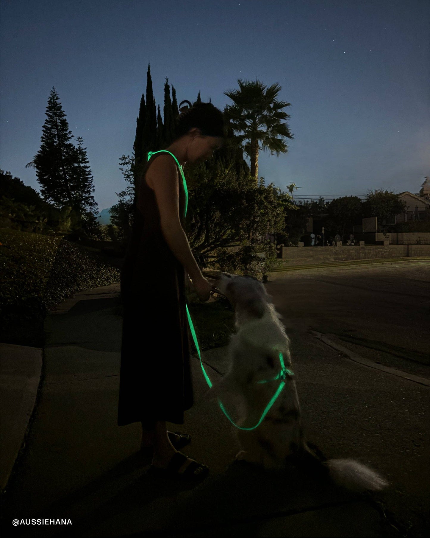 SUNNY TAILS - Cloud Hundehalsband - Glow in the Dark