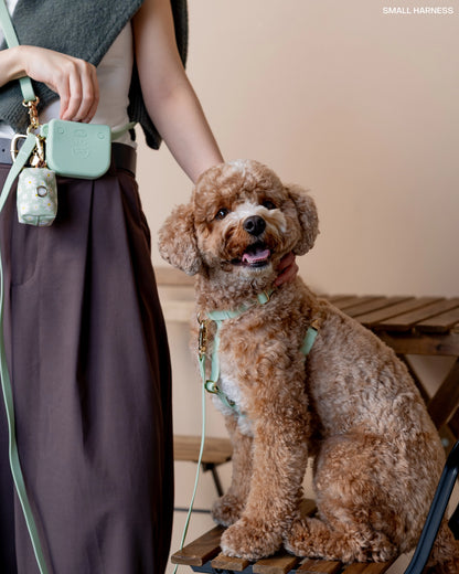 SUNNY TAILS - Wasserdichtes Hundegeschirr - Pistaziengrün