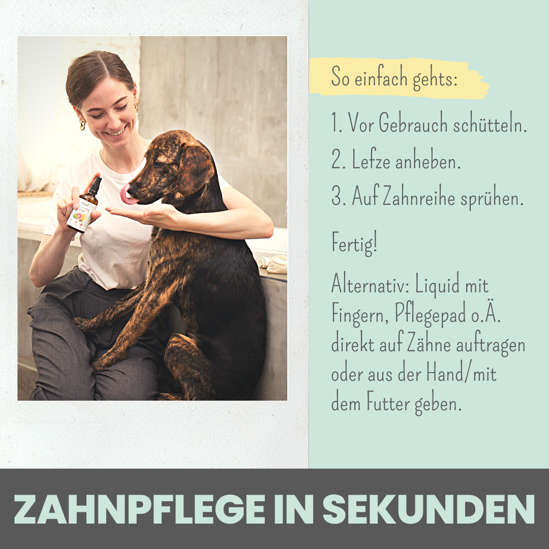 NOMS+ - Dentalspray bei Zahnstein für Hunde und Katzen