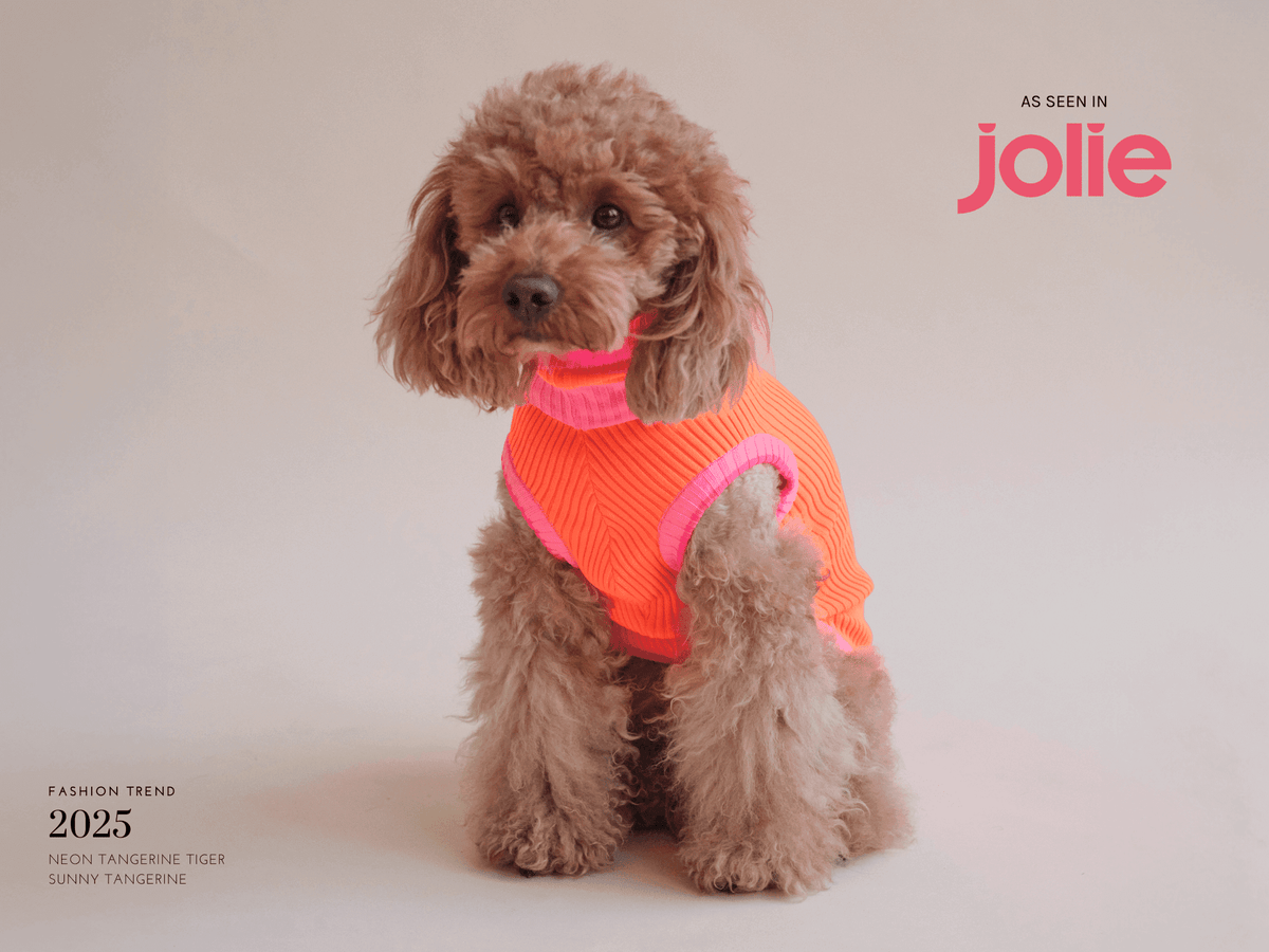 LUMIIES – Glow Jumper 2.0 Hundepullover Sunny Tangerine