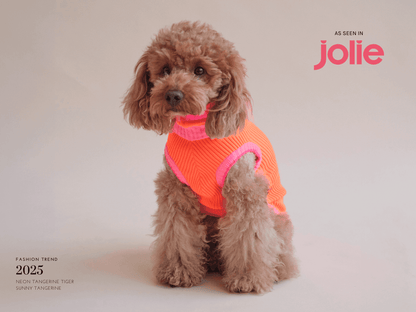 LUMIIES – Glow Jumper 2.0 Hundepullover Sunny Tangerine