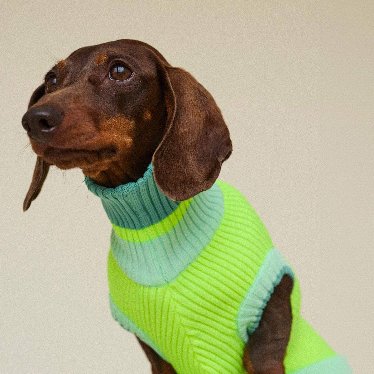 LUMIIES – Glow Jumper 2.0 Hundepullover Neon Matcha