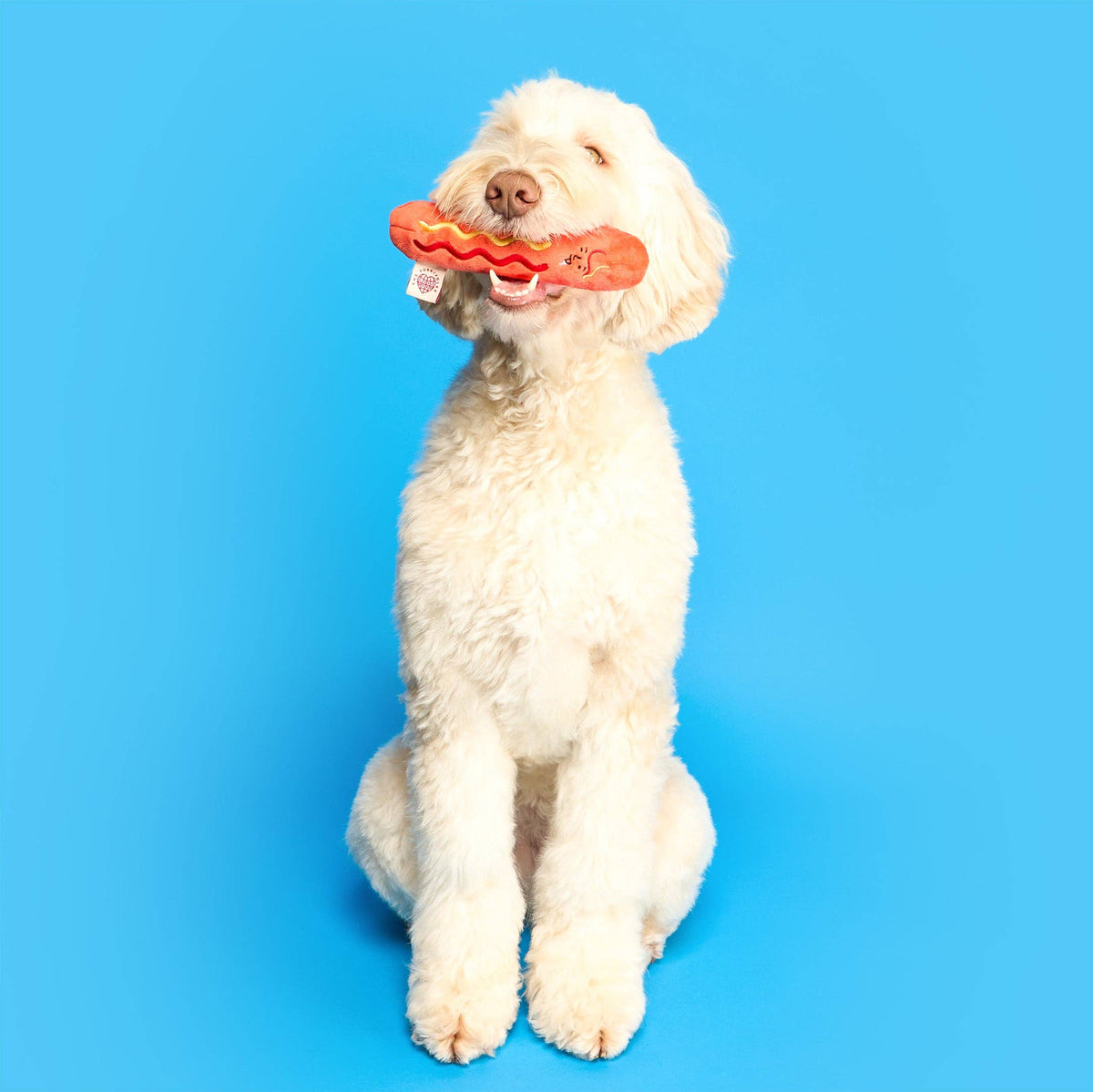 the furryfolks - Hot Doggie Nosework-Spielzeug - OSSO BLU