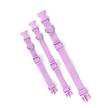 Springland Pets - Wasserdichtes & Verstellbares Hundehalsband (6er Pack) - OSSO BLU