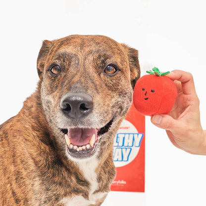 the furryfolks - Cherry Tomato Such- und Zerrspielzeug für Hunde - OSSO BLU