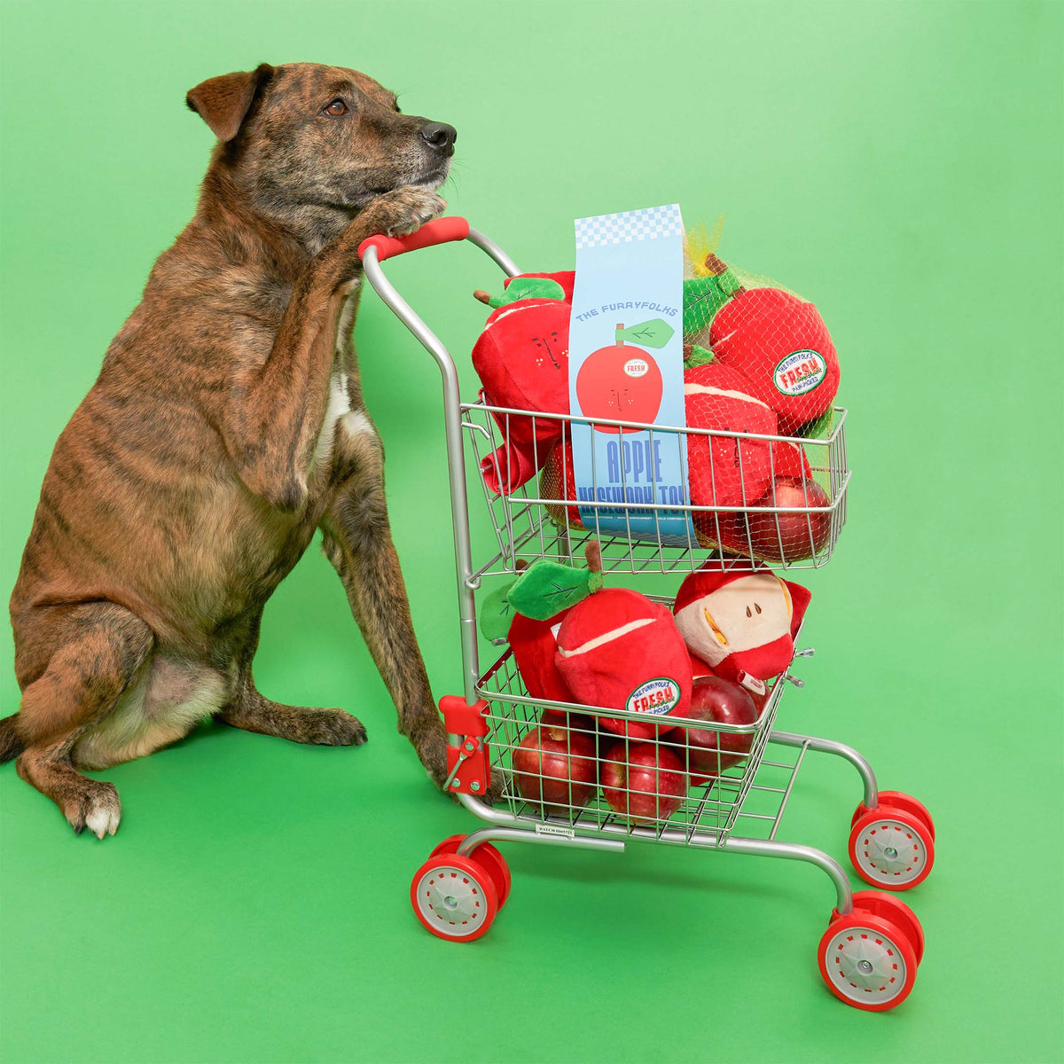the furryfolks - Apple Nosework-Spielzeug für Hunde - OSSO BLU