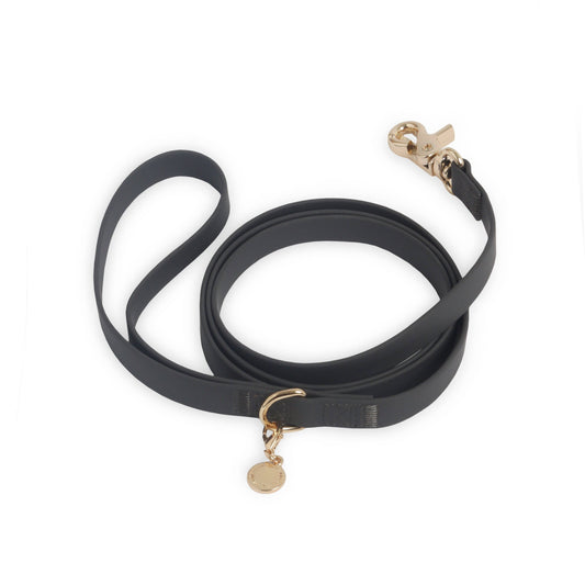 SUNNY TAILS - Dog leash in black