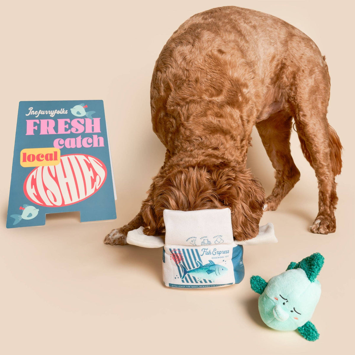 the furryfolks - Fisch Express Nasenarbeit Spielzeug - OSSO BLU