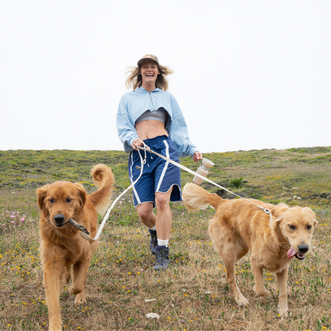 Springland Pets - Premium wasserdichte 1,5 m Hundeleine mit gepolstertem Griff (4er-Pack) - OSSO BLU