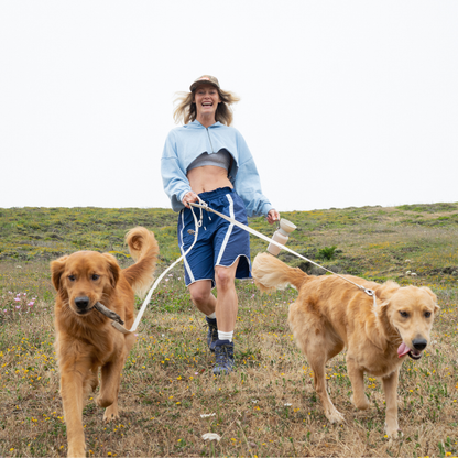 Springland Pets - Premium wasserdichte 1,5 m Hundeleine mit gepolstertem Griff (4er-Pack) - OSSO BLU