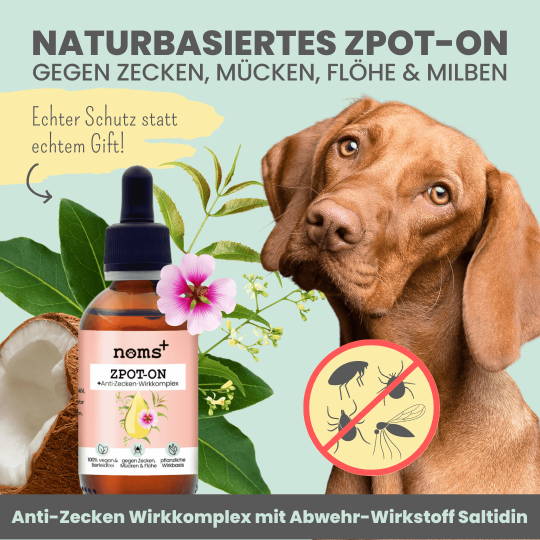 NOMS+ - Zpot-On für Hunde – Natürlicher Zeckenschutz gegen Zecken, Flöhe, Milben & Mücken